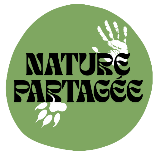 Logo du projet